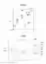 Fig. 07 - Evaluation method for site of color irregularity and color irregularity site evaluation apparatus