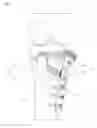 Fig. 02 - CHECKING APPARATUS FOR BONE CONGLUTINATION