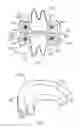 Fig. 02 - Mouth-containing toothbrush