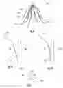 Fig. 05 - Inferior vena cava filter with stability features