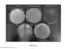 Fig. 07 - Methods and composition for suppression of pathogenic bacterial growth, fungal growth, or microbial growth in or on skin