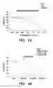 Fig. 07 - Methods for treatment of melanoma