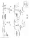 Fig. 06 - DENDRIMERIC PLATFORM FOR CONTROLLED RELEASE OF DRUGS