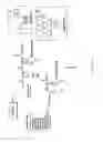Fig. 07 - DENDRIMERIC PLATFORM FOR CONTROLLED RELEASE OF DRUGS