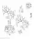 Fig. 28 - DENDRIMERIC PLATFORM FOR CONTROLLED RELEASE OF DRUGS