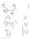 Fig. 33 - DENDRIMERIC PLATFORM FOR CONTROLLED RELEASE OF DRUGS