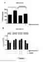 Fig. 06 - Compositions comprising secreted extracellular vesicles of cells expressing NFATC4 useful for the treatment of cancer