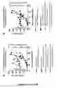 Fig. 08 - Compositions comprising secreted extracellular vesicles of cells expressing NFATC4 useful for the treatment of cancer