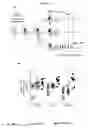 Fig. 02 - USE OF HETERODIMERIC IL-15 IN ADOPTIVE CELL TRANSFER