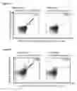 Fig. 22 - Peptides and scaffolds for use in immunotherapy against head and neck squamous cell carcinoma and other cancers