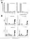 Fig. 04 - TUMOR ANTIGEN PEPTIDE