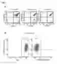 Fig. 15 - TUMOR ANTIGEN PEPTIDE