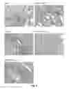 Fig. 07 - Protection and delivery of multiple therapeutic proteins