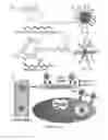 Fig. 02 - STIMULI-RESPONSIVE NANOPARTICLES FOR BIOMEDICAL APPLICATIONS