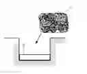 Fig. 01 - TISSUE REGENERATION CONSTRUCT AND METHOD FOR PRODUCING TISSUE REGENERATION CONSTRUCT