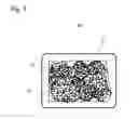 Fig. 08 - TISSUE REGENERATION CONSTRUCT AND METHOD FOR PRODUCING TISSUE REGENERATION CONSTRUCT