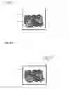 Fig. 09 - TISSUE REGENERATION CONSTRUCT AND METHOD FOR PRODUCING TISSUE REGENERATION CONSTRUCT