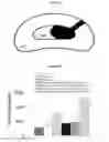 Fig. 02 - Methods and compositions for inducing multi-targeted healing of intervertebral disc defects