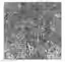 Fig. 01 - Flowable acellular tissue matrix products and methods of production