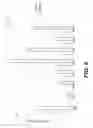 Fig. 07 - Flowable acellular tissue matrix products and methods of production