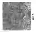 Fig. 08 - Flowable acellular tissue matrix products and methods of production