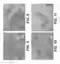 Fig. 09 - Flowable acellular tissue matrix products and methods of production