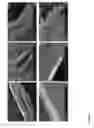 Fig. 09 - Non-uniformly stiff polymeric scaffolds and methods for producing thereof