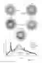 Fig. 09 - TISSUE SCAFFOLDS