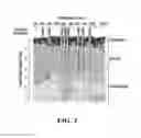 Fig. 03 - Tissue filler compositions and methods of use