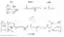 Fig. 01 - Polymeric DHA-containing biodegradable compositions and surgical barrier devices made thereof
