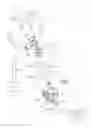Fig. 02 - Closed suction system