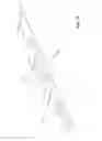 Fig. 13 - Shell for a medicament delivery device