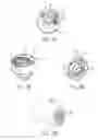 Fig. 64 - Spacer assembly for drug delivery device