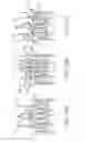 Fig. 72 - Spacer assembly for drug delivery device