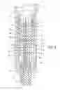 Fig. 04 - Pen needle magazine