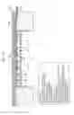 Fig. 16 - PHOTOTHERAPY APPARATUS
