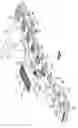 Fig. 04 - Flexible implement grip with randomly oriented cord fibers
