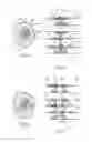 Fig. 04 - Device for producing reinforcements