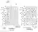 Fig. 02 - Hierarchical porous metals with deterministic 3D morphology and shape via de-alloying of 3D printed alloys