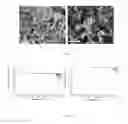 Fig. 04 - Near-infrared absorbing white material and preparation method thereof