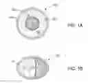 Fig. 02 - SOLDER FLUX CONTAINING FLUORESCENT MICROCAPSULES AND METHOD TO VISUALIZE UNACTIVATED SOLDER FLUX