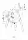 Fig. 02 - REPLACEMENT STRUCTRE OF PAIR OF PLIERS