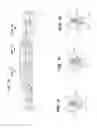 Fig. 07 - SAW CHAIN CUTTING TEETH AND SAW CHAIN