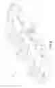 Fig. 08 - Multi-lane die