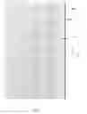 Fig. 05 - Calibration method of plurality of scanners in an additive manufacturing apparatus