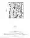 Fig. 03 - Resin composite film including cellulose microfiber layer