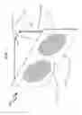 Fig. 08 - Rear partition mounted cooling system