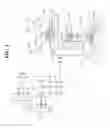 Fig. 02 - APPARATUS FOR POWER TRAIN AND VEHICLE INCLUDING THE SAME