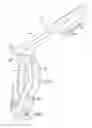 Fig. 08 - Diving mask system