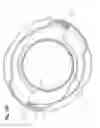 Fig. 19 - Tamper-evident closing element and receiving structure